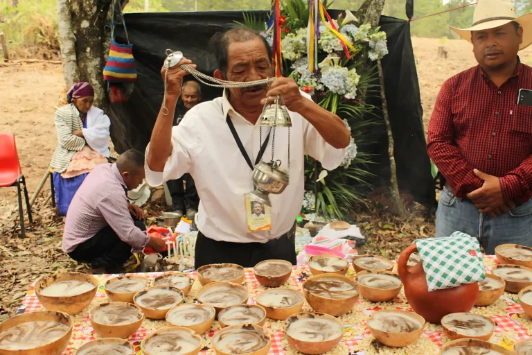 Compostura del maíz